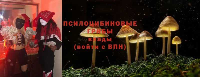 купить  сайты  Кисловодск  Галлюциногенные грибы MAGIC MUSHROOMS 